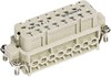 Contact insert for industrial connectors Bus 09200162812